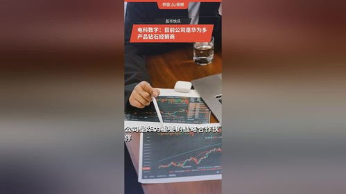 電科數(shù)字 華為多產(chǎn)品鉆石經(jīng)銷商與數(shù)碼代理業(yè)務(wù)的雙重優(yōu)勢(shì)